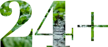24