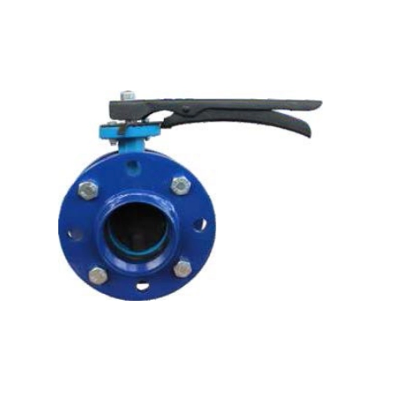Butterfly valve set  (cast body)
