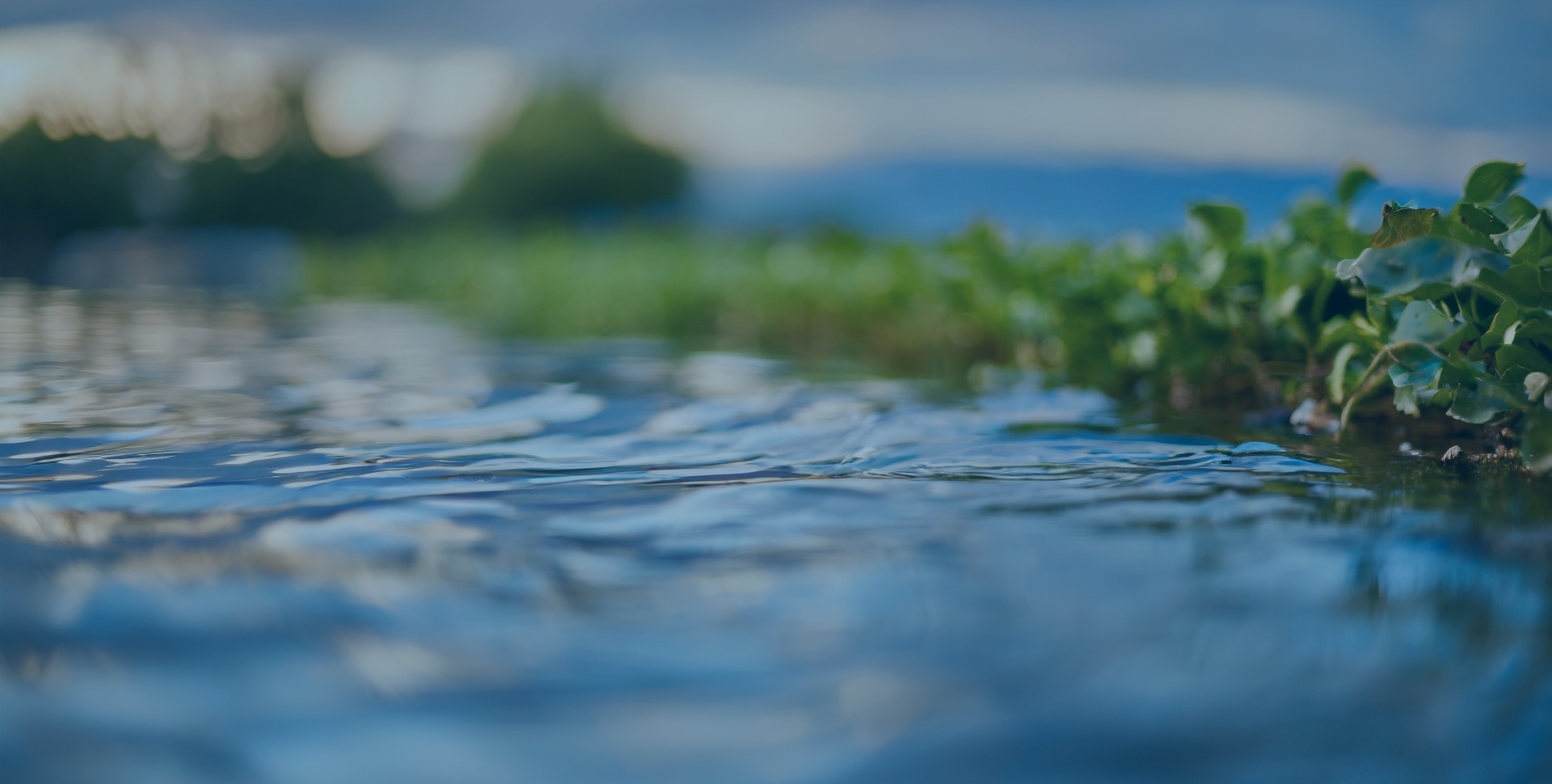 INNOVATIVE SOLUTIONS FOR SUSTAINABLE AGRICULTURE